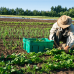 organic farming techniques